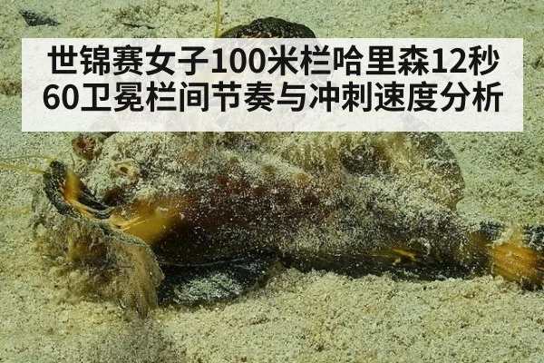 世锦赛女子100米栏哈里森12秒60卫冕栏间节奏与冲刺速度分析